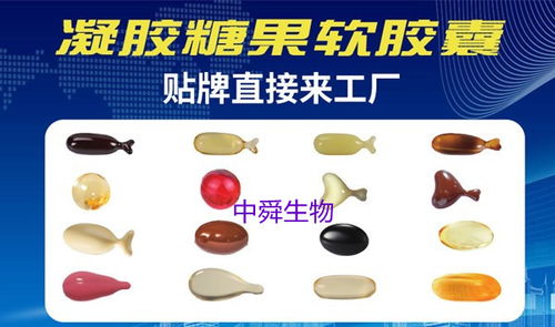 中舜生物 如何選擇高品質(zhì)益生菌OEM伙伴，一站式服務(wù)守護(hù)食品安全與營(yíng)養(yǎng)