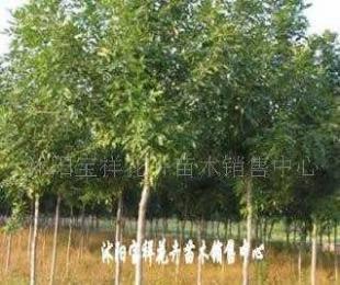 供應(yīng)電線電纜填充用高檔麻線_紡織、皮革_世界工廠網(wǎng)中國產(chǎn)品信息庫